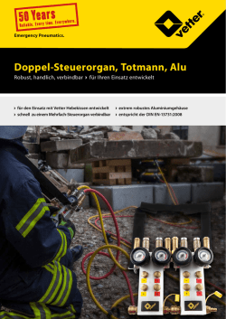 Doppel-Steuerorgan, Totmann, Alu