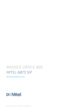 Mitel 6873 SIP - Telefonkonzept