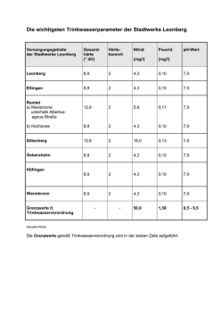 Die Stadtwerke Leonberg informieren &uuml;ber das im