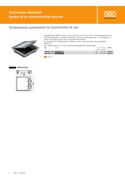 Technisches Datenblatt System 55 für