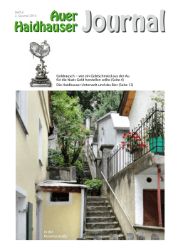 Heft 8 - Auer/Haidhauser Journal