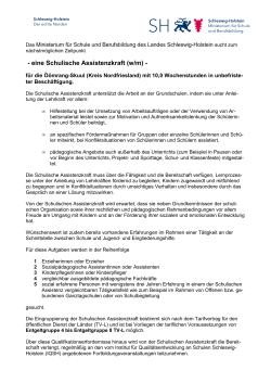 Ausschreibungstext Schulische Assistenz Kreis - Schleswig