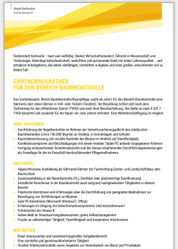 Dieses Stellenangebot als PDF speichern