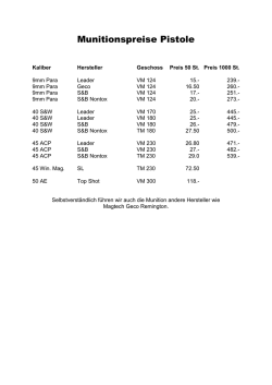 Munitionspreise Pistole 2.11