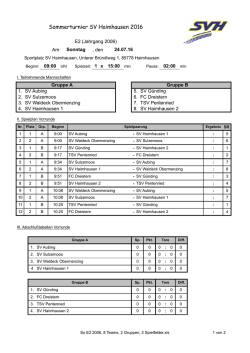 E2 - SV Haimhausen