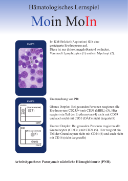 Paroxysmale nächtliche Hämoglobinurie (PNH)