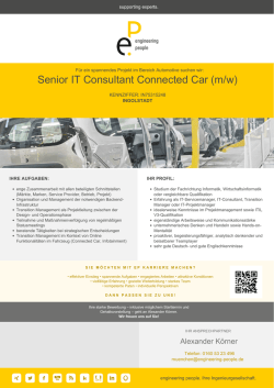 Senior IT Consultant Connected Car (m/w)