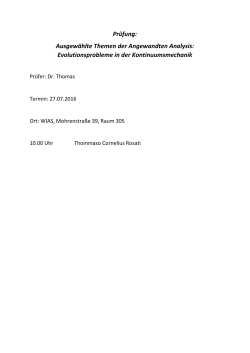 Prüfung: Ausgewählte Themen der Angewandten Analysis