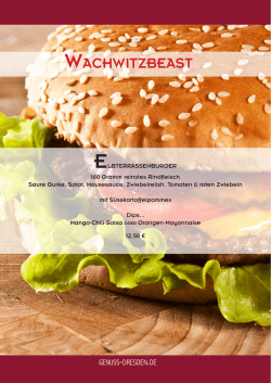 wachwitzbeast - Elbterrasse Wachwitz