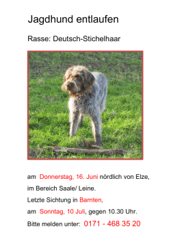 Jagdhund entlaufen