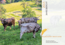 Jahresbericht_2015-2016 als PDF