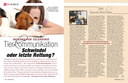Tierkommunikation - Verhaltenstherapie
