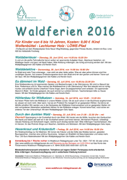 H&ouml;hlenbau f&uuml;r Wildkatzen - Waldforum Riddagshausen