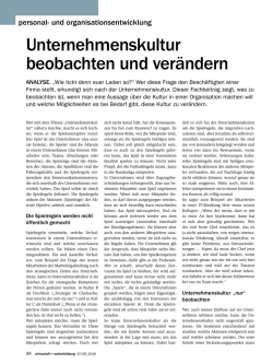 Unternehmenskultur beobachten und verändern