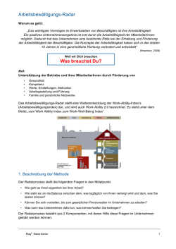 Info Arbeitsbewältigungsradar v1.1