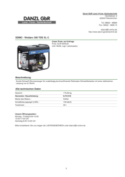 SDMO - Weldarc 300 TDE XL C Beschreibung Alle technischen