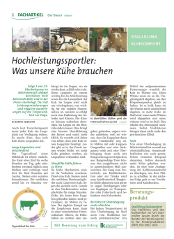 Hochleistungssportler - Was unsere K&uuml;he brauchen! &Uuml;berbelegung