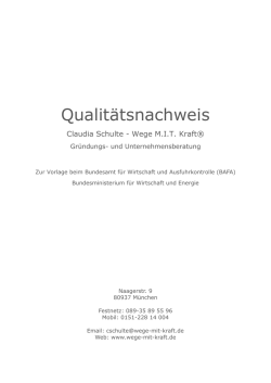 Info - Wege MIT Kraft