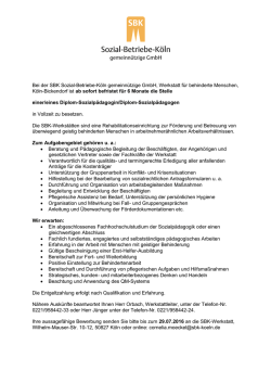 Diplom-Sozialp&auml;dagogin / Diplom
