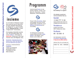 INSIEME Steckbrief