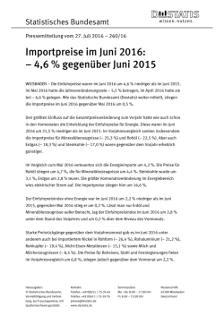 Importpreise im Juni 2016: &ndash; 4,6 % gegen&uuml;ber Juni 2015 (PDF, 94