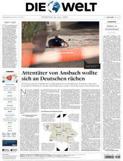 DIE WELT (26.07.2016)