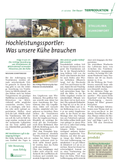 Hochleistungssportler - Was unsere K&uuml;he brauchen! Die richtige