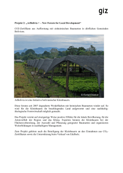 Projekt 2: „ArBolivia + – New Forests for Local Development