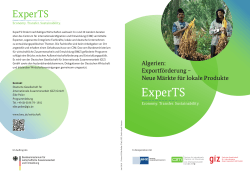 Algerien: Exportförderung – Neue Märkte für lokale Produkte