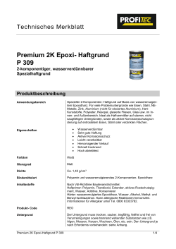Premium 2K Epoxi- Haftgrund P 309