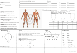 Documentation Sheet