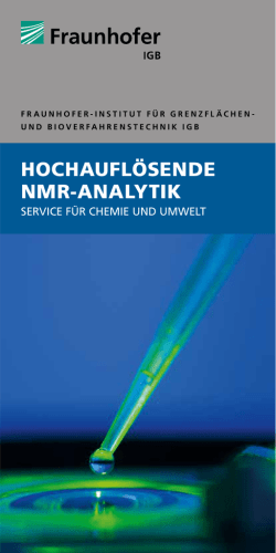 hochaufl&ouml;sende nmr-analytik - Fraunhofer