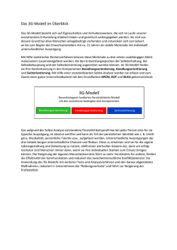 Infoflyer: 3G Master-Zertifizierung - 3g