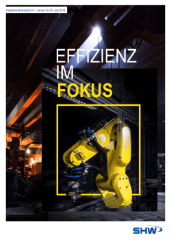 EFFIZIENZ IM FOKUS