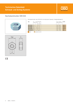 und Schlag-Systeme Sechskantmutter DIN 934