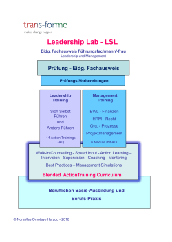 Leadership Lab - LSL - trans