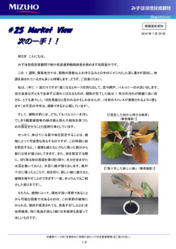次の一手！！（PDF/359KB）