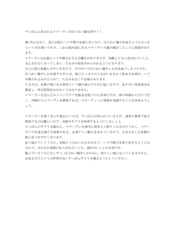 ライトプランの記事