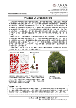 ブナの豊凶をもたらす窒素の役割を解明