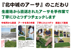 北中城のアーサ - ギフトショッパーズ沖縄