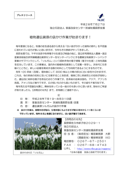 植物遺伝資源の袋かけ作業が始まります！