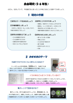 自由研究