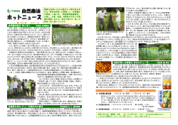 自然農法ホットニュース219号発信