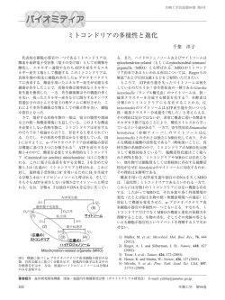 ミトコンドリアの多様性と進化