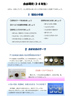 自由研究