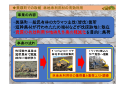 ・美瑛町一般民有林のカラマツ主伐（皆伐）箇所 ・短幹集材が行われ