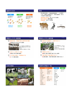 畜産学の花形 家畜 家畜化しやすい動物種 家畜化しやすい動物種 日本