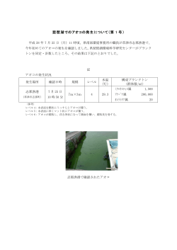 平成28年度第1号琵琶湖でのアオコの発生について（PDF：76KB）