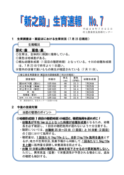 草丈：並 葉色：並