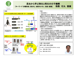 概要はこちら